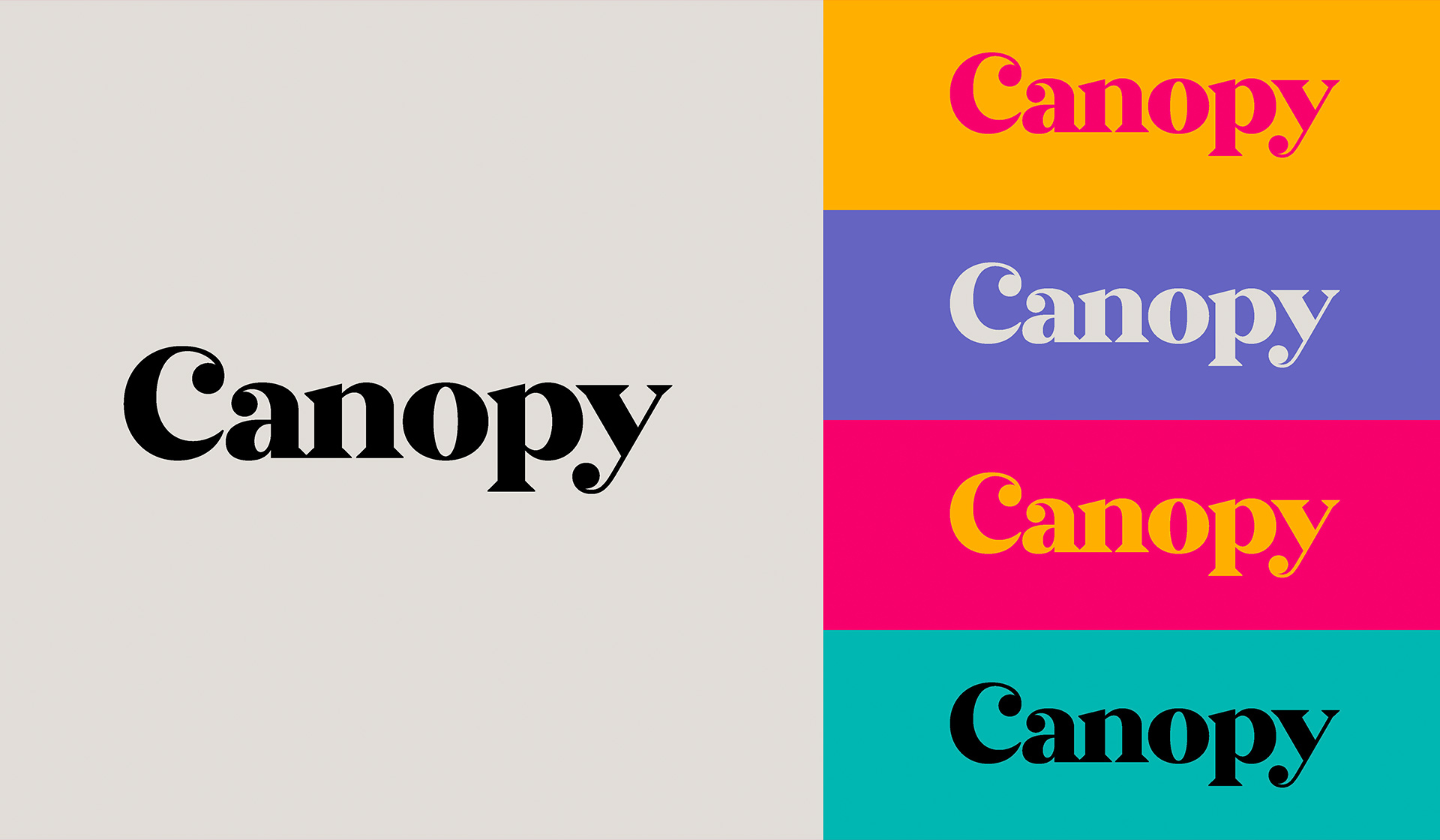 Canopy Rent - Rebrand - Don't Just Move, Grow - Mellor&Smith